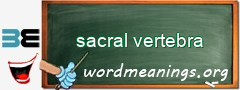 WordMeaning blackboard for sacral vertebra